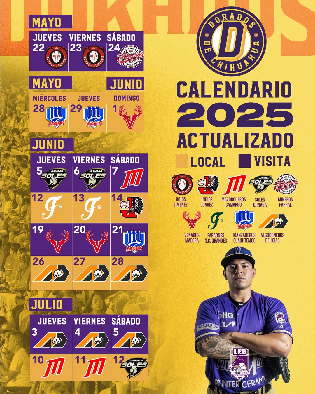 Dorados vs Borregos