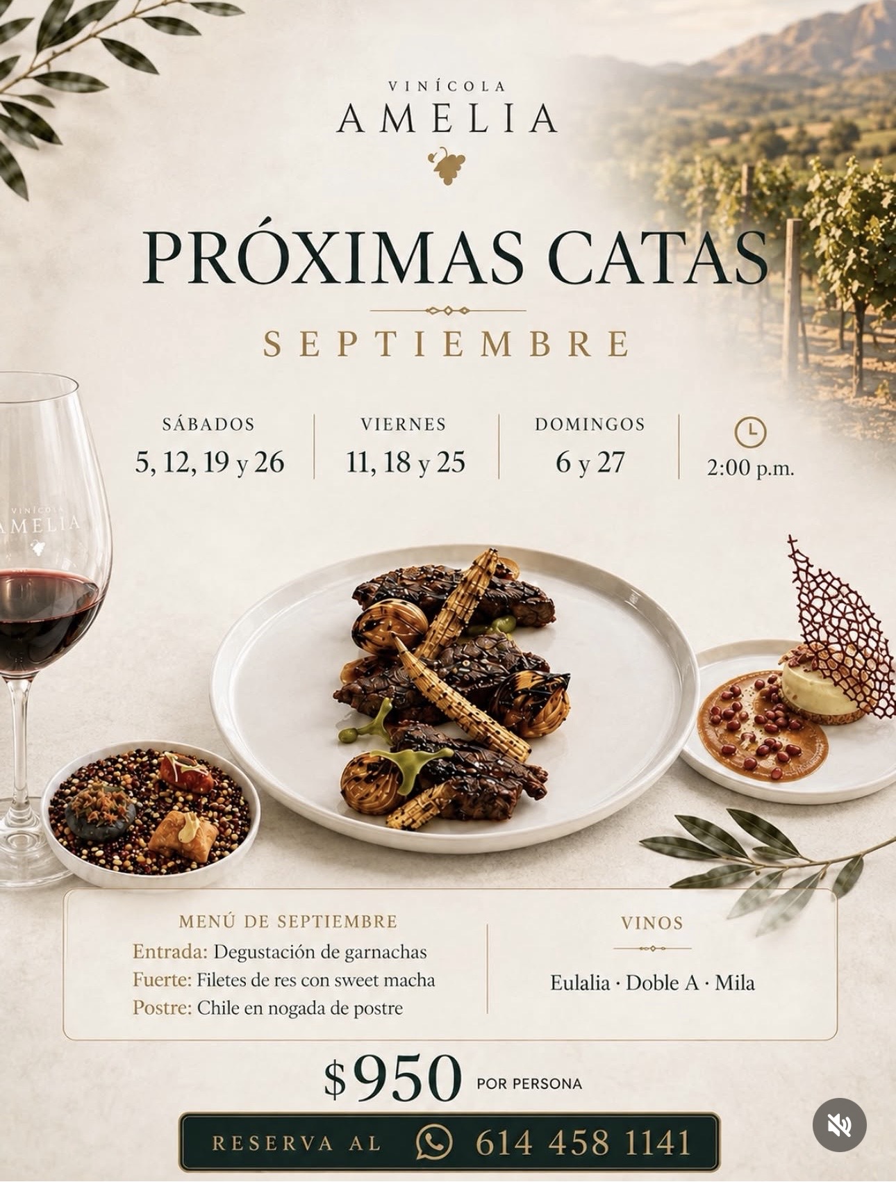 Catas de Septiembre en Vinícola Amelia en Vinicola Amelia